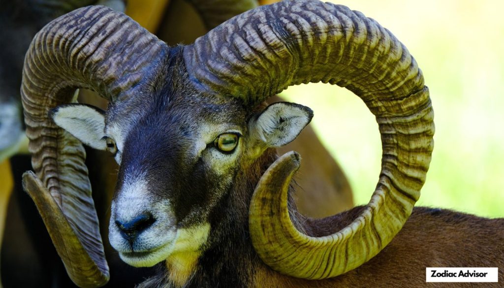 The Most Special Days For The Signs Of The Zodiac In March 2025